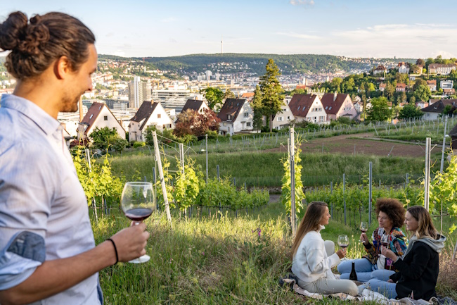 Weintrinken in der Natur in Stuttgart